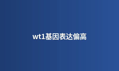 wt1基因表达偏高