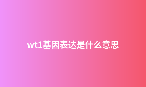 wt1基因表达是什么意思