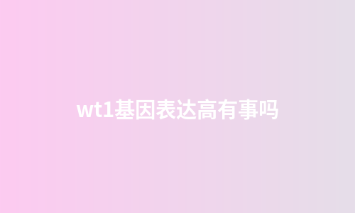 wt1基因表达高有事吗