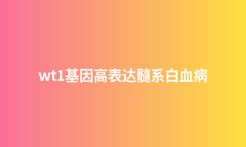 wt1基因高表达髓系白血病