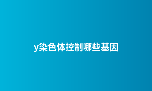 y染色体控制哪些基因