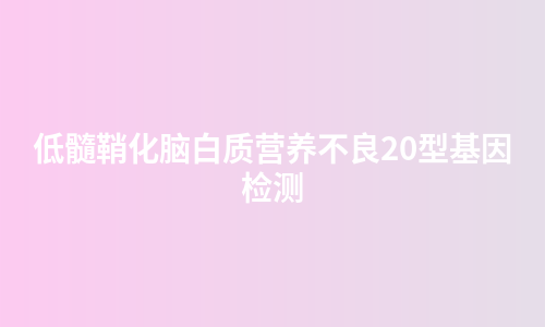 低髓鞘化脑白质营养不良20型基因检测