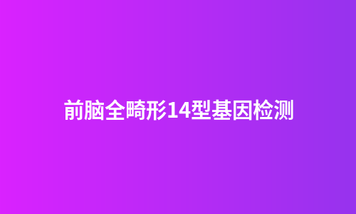 前脑全畸形14型基因检测