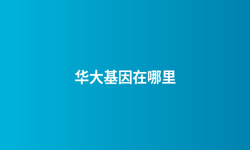 华大基因在哪里