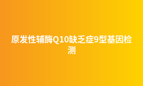 原发性辅酶Q10缺乏症9型基因检测