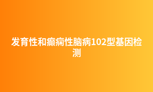 发育性和癫痫性脑病102型基因检测