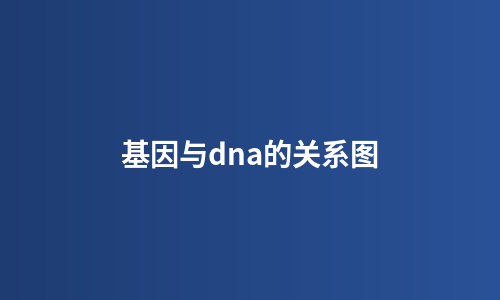 基因与dna的关系图