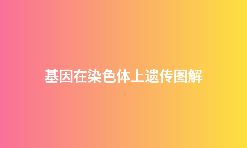 基因在染色体上遗传图解