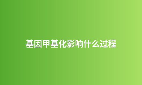 基因甲基化影响什么过程