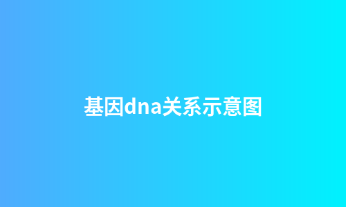 基因dna关系示意图