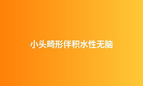 小头畸形伴积水性无脑