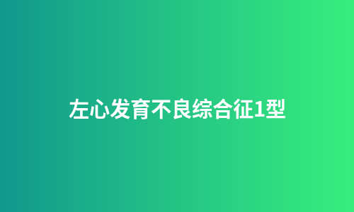 左心发育不良综合征1型