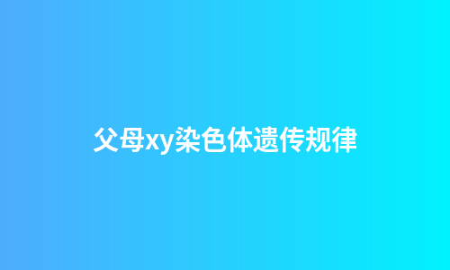 父母xy染色体遗传规律