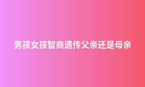 男孩女孩智商遗传父亲还是母亲