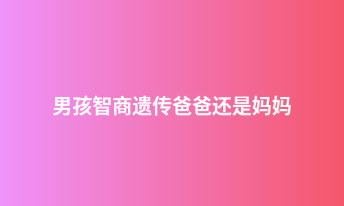 男孩智商遗传爸爸还是妈妈