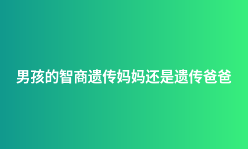男孩的智商遗传妈妈还是遗传爸爸
