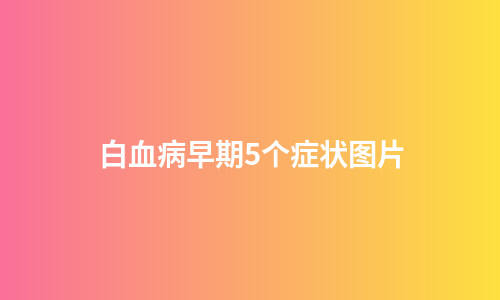 白血病早期5个症状图片