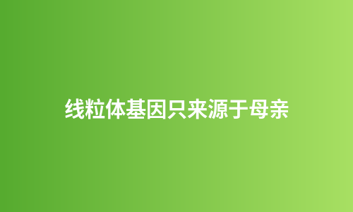 线粒体基因只来源于母亲