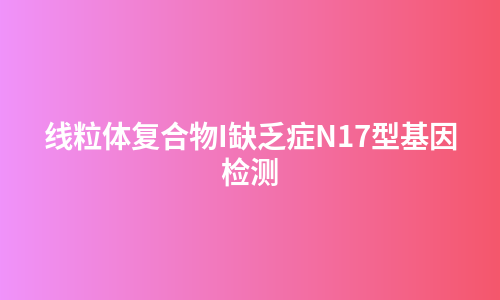 线粒体复合物I缺乏症N17型基因检测