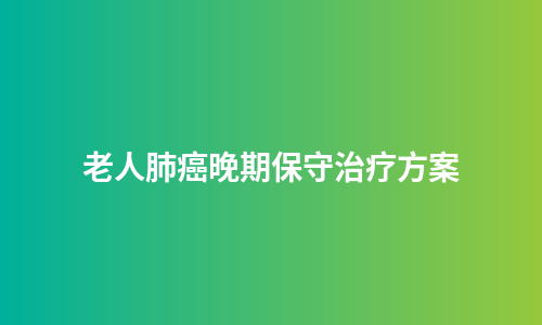 老人肺癌晚期保守治疗方案