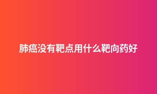 肺癌没有靶点用什么靶向药好