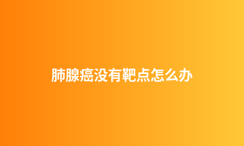 肺腺癌没有靶点怎么办