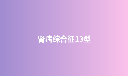 肾病综合征13型