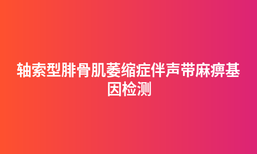 轴索型腓骨肌萎缩症伴声带麻痹基因检测