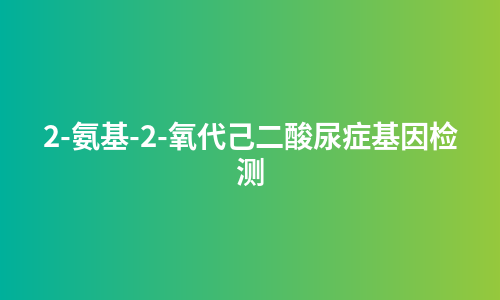 2-氨基-2-氧代己二酸尿症基因检测