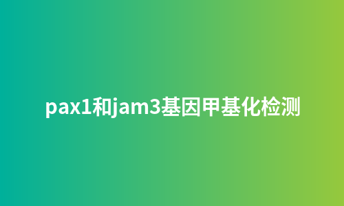 pax1和jam3基因甲基化检测