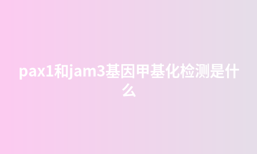 pax1和jam3基因甲基化检测是什么