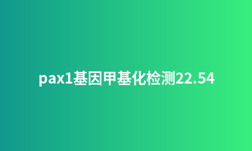 pax1基因甲基化检测22.54