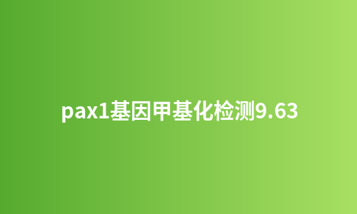 pax1基因甲基化检测9.63