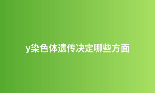y染色体遗传决定哪些方面
